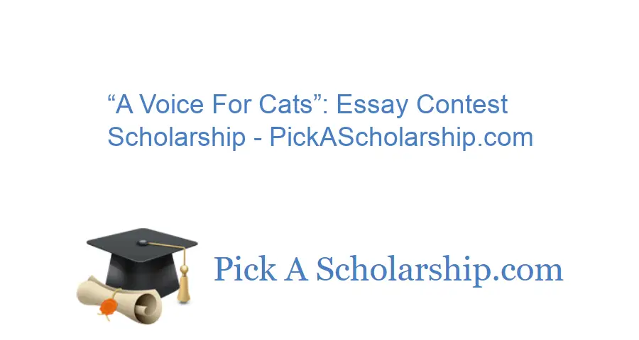 a voice for cats essay contest scholarship 2021