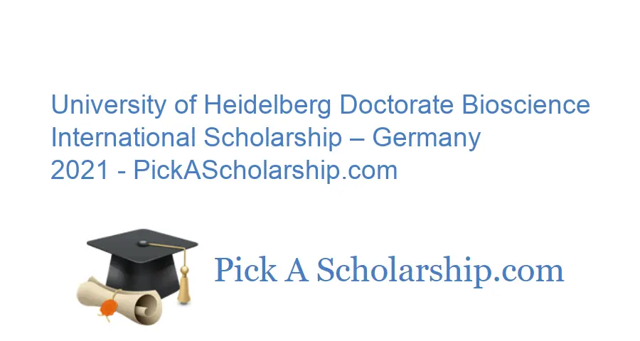 phd scholarship in biostatistics in germany