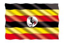 Study in Uganda