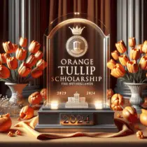 $2,500 Orange Tulip Scholarship in the Netherlands, 2024