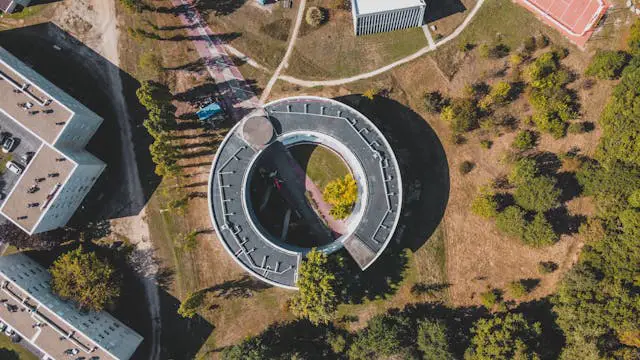 aerial view of green trees and road