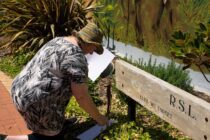 man in black and white shirt sitting on brown wooden bench near lake