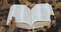 open book amidst autumn leaves outdoors