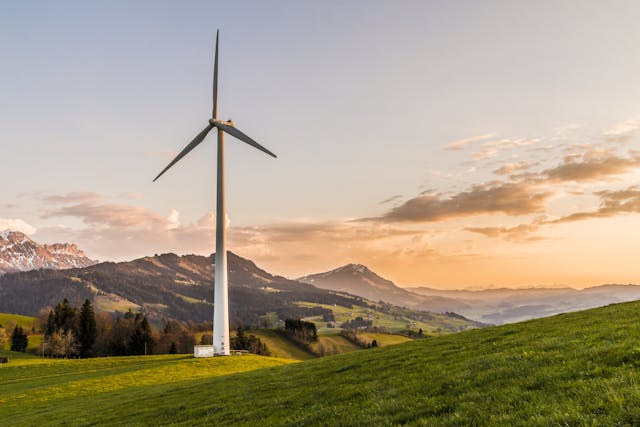 white windmill