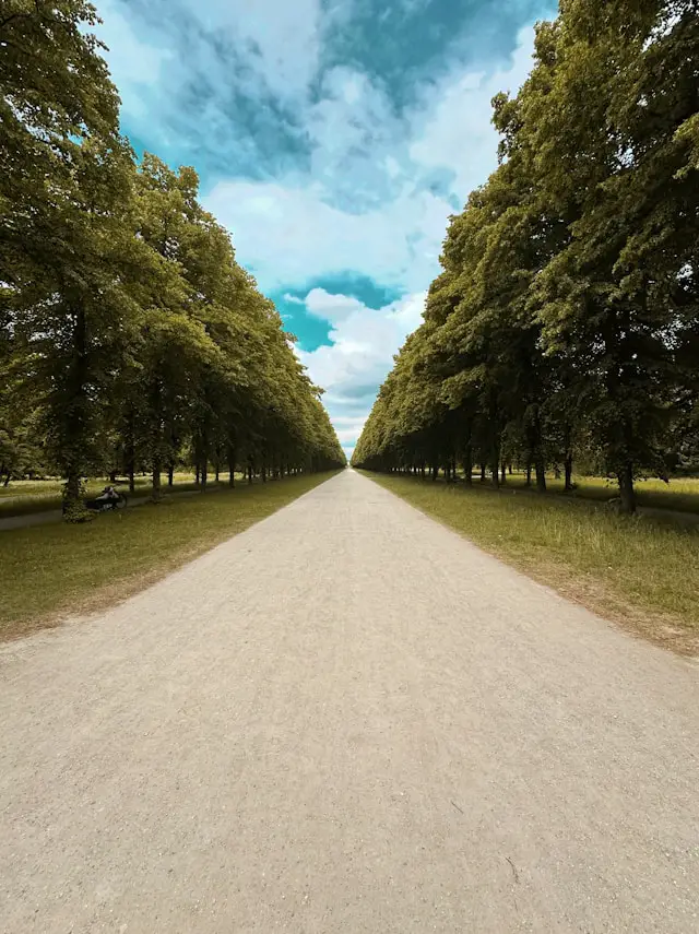 a dirt road surrounded by trees under a cloudy blue sky