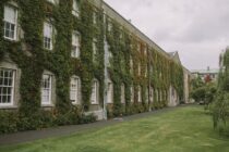 mansion nature growth vines facade