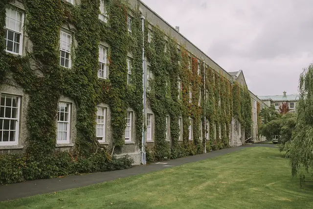 mansion nature growth vines facade