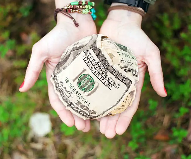 person holding us dollar banknotes