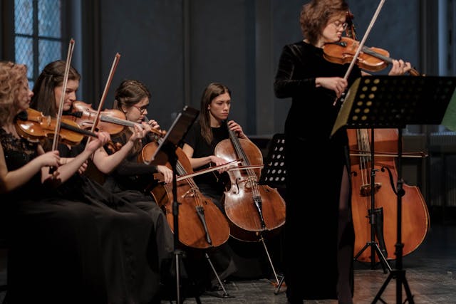 women playing violin near window