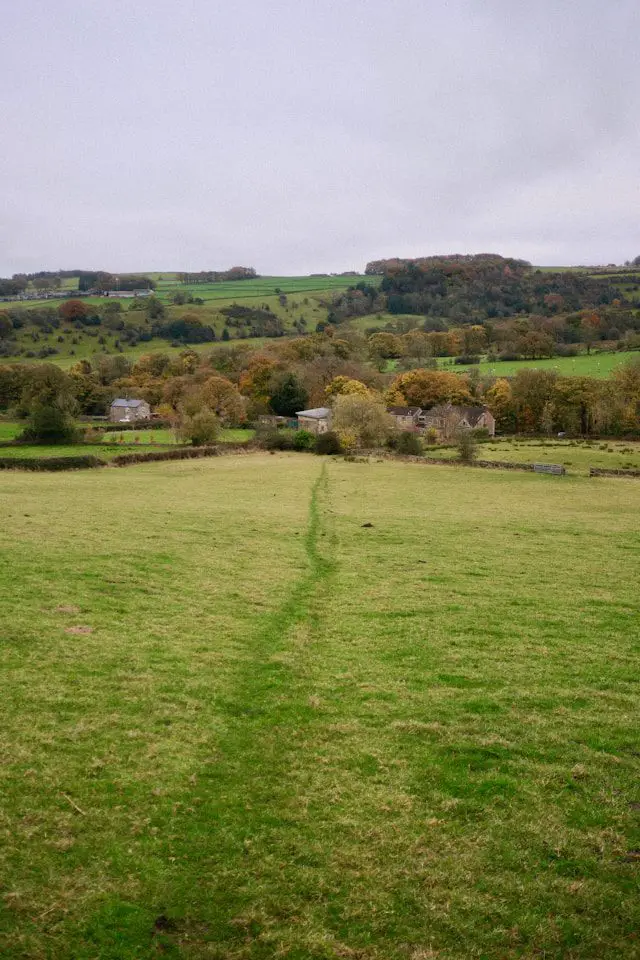 a grassy field with a trail in the middle of it