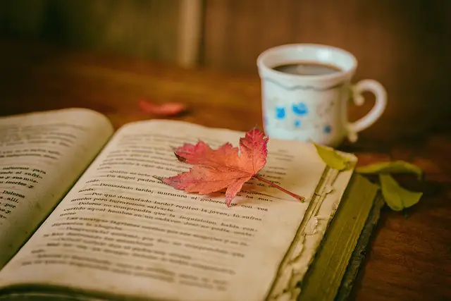 leaves coffee cup still life book