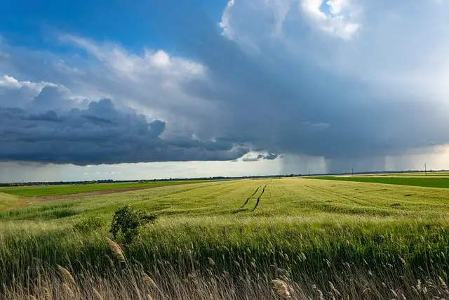 storm wheat field clouds sky