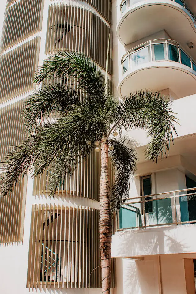 tree beside building