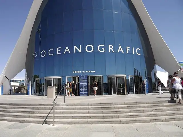 oceanographic valencia museum fish